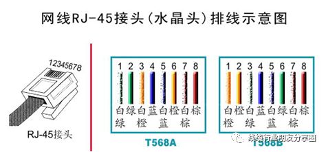 LAN Cable 系列1.jpg